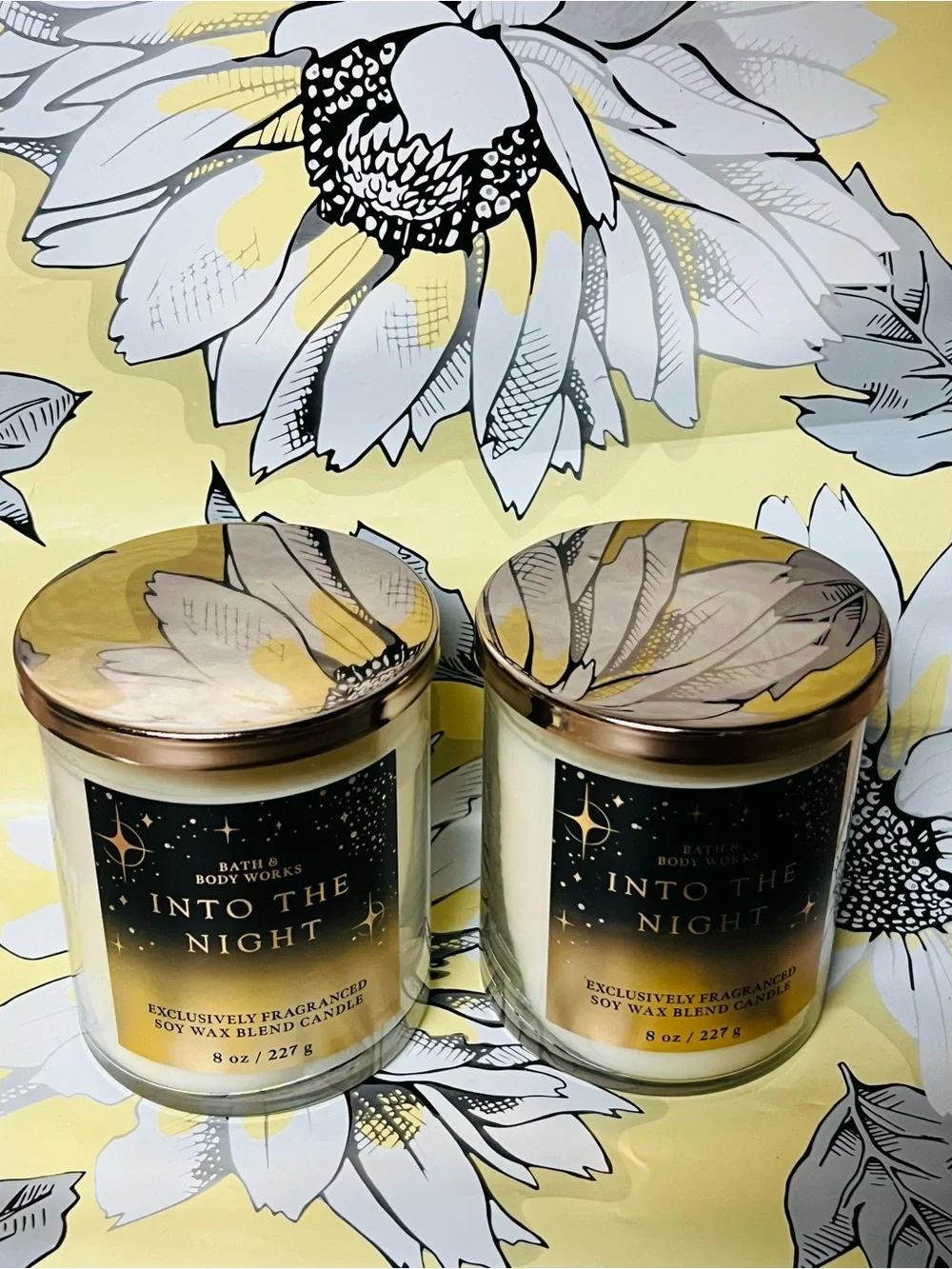 2 Bath & Body Works Into The Night Candle -